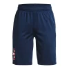 Boys 8-20 Under Armour Freedom Prototype Shorts