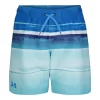 Boys 8-20 Under Armour On The Horizon Board Shorts
