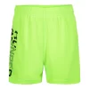 Boys 4-7 Under Armour Prototype Wordmark Shorts
