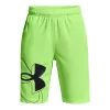 Boys 8-20 Under Armour Prototype 2.0 SSZ Shorts